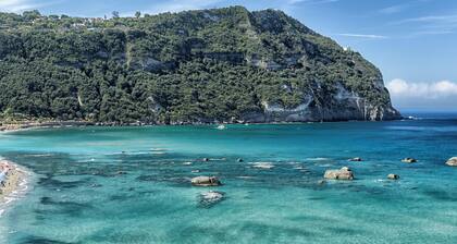 Wonderful Villa with sea view in Forio d'Ischia surrounded by Nature