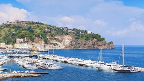 Un port de plaisance où sont amarrés de nombreux bateaux, une côte rocheuse et, au loin, des bâtiments situés sur une colline.