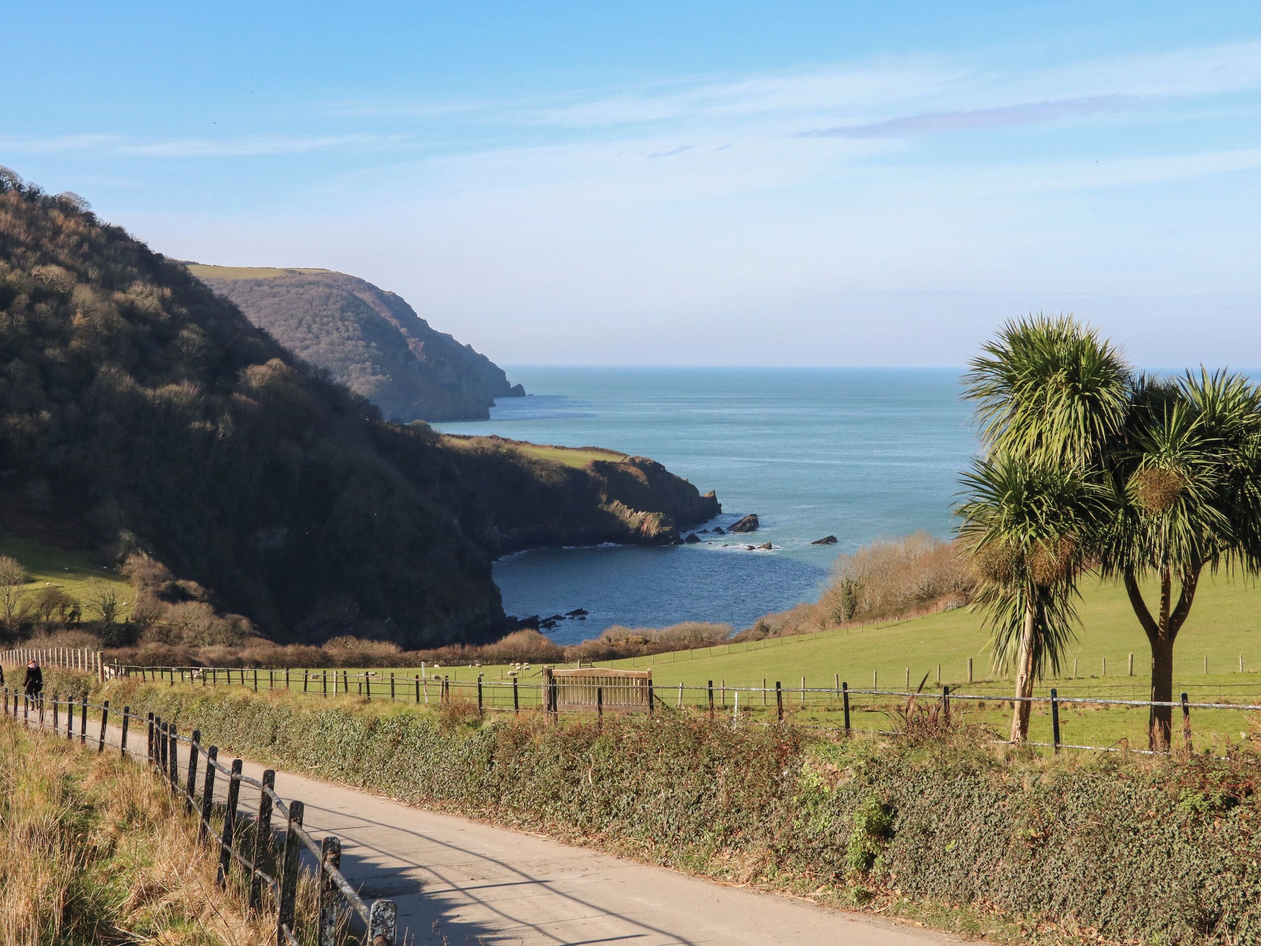 A coastal road with a fence, grassy fields, and a cliff overlooking the sea.