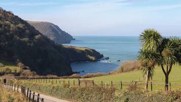 A coastal road with a fence, grassy fields, and a cliff overlooking the sea.