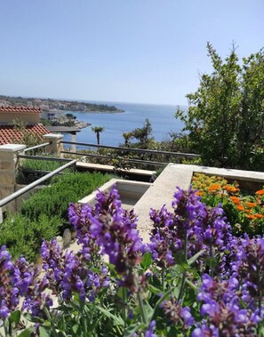 아파트, 흡연 | 1 개의 침실