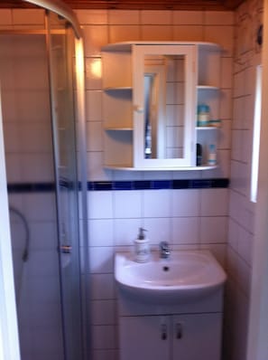 Ein Badezimmer mit Duschkabine aus Glas, einem weißen Waschbecken mit Seifenspender und einem Spiegel darüber.