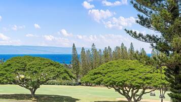 Apartment | 1 bedroom, Internet