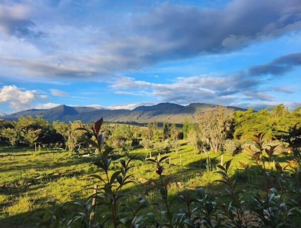 A landscape with a mountain range in the background and a field of greenery in the foreground.