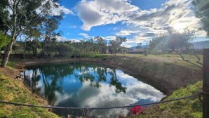 A serene pond surrounded by trees and grass, with a clear sky above.
