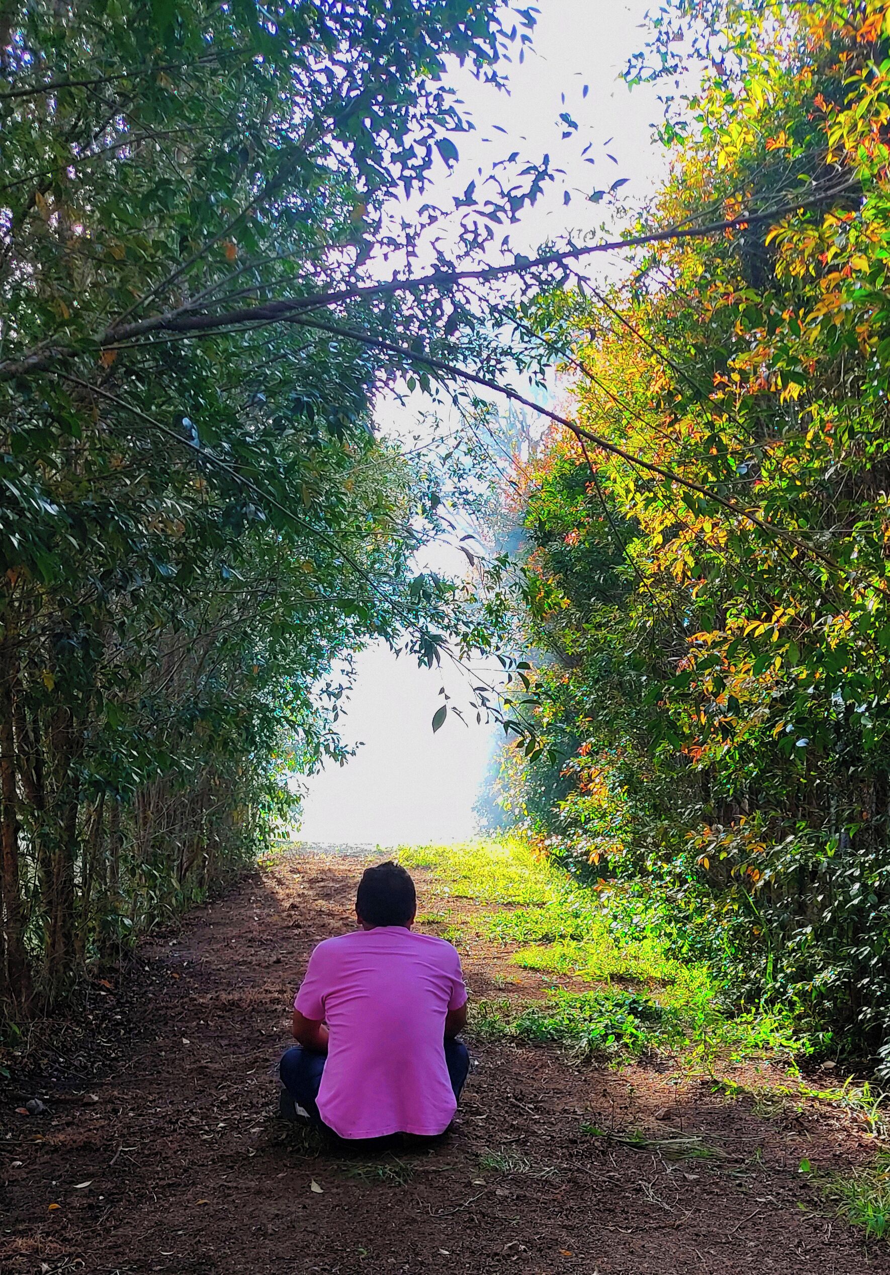 Una persona sentada en un sendero de tierra en una zona boscosa.