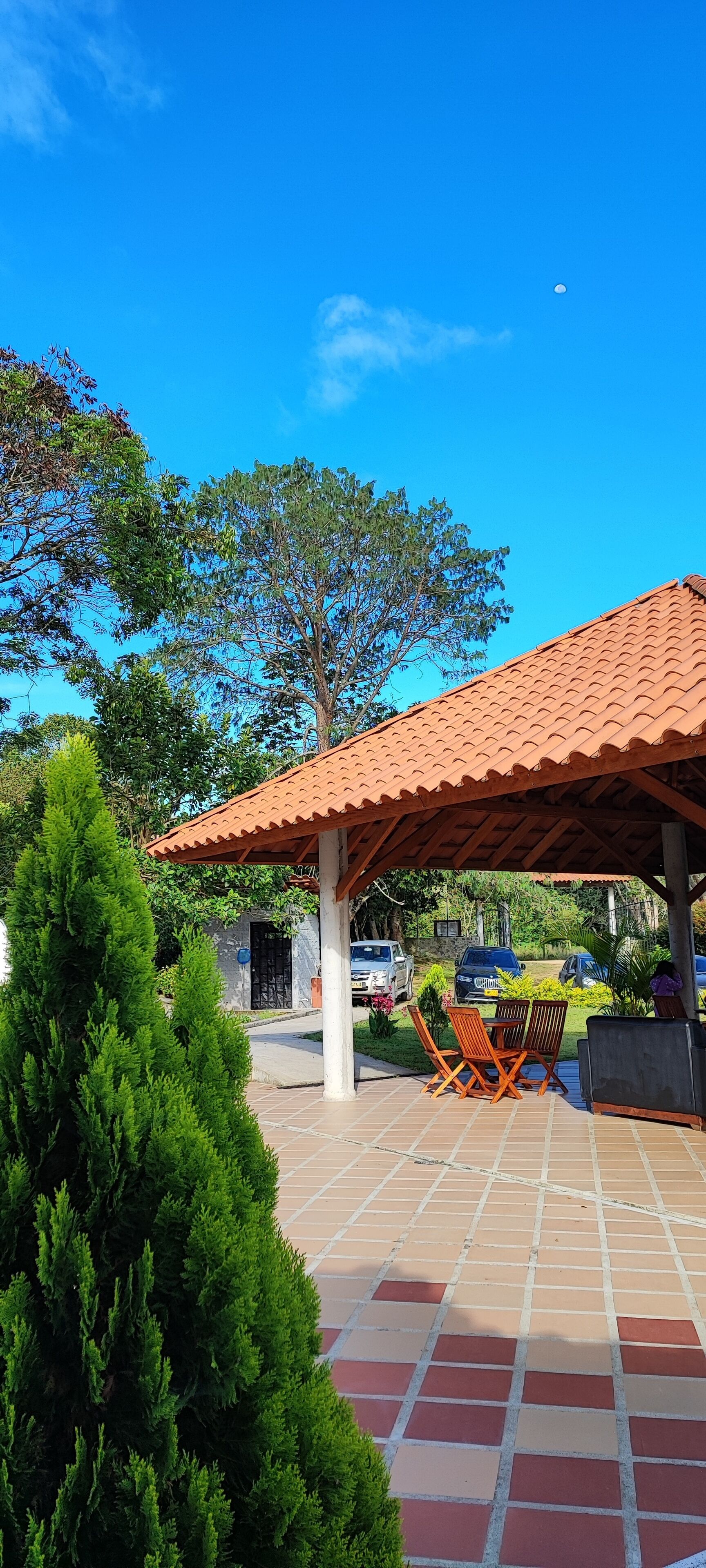 A covered outdoor seating area with a tiled floor, surrounded by greenery and a large tree.