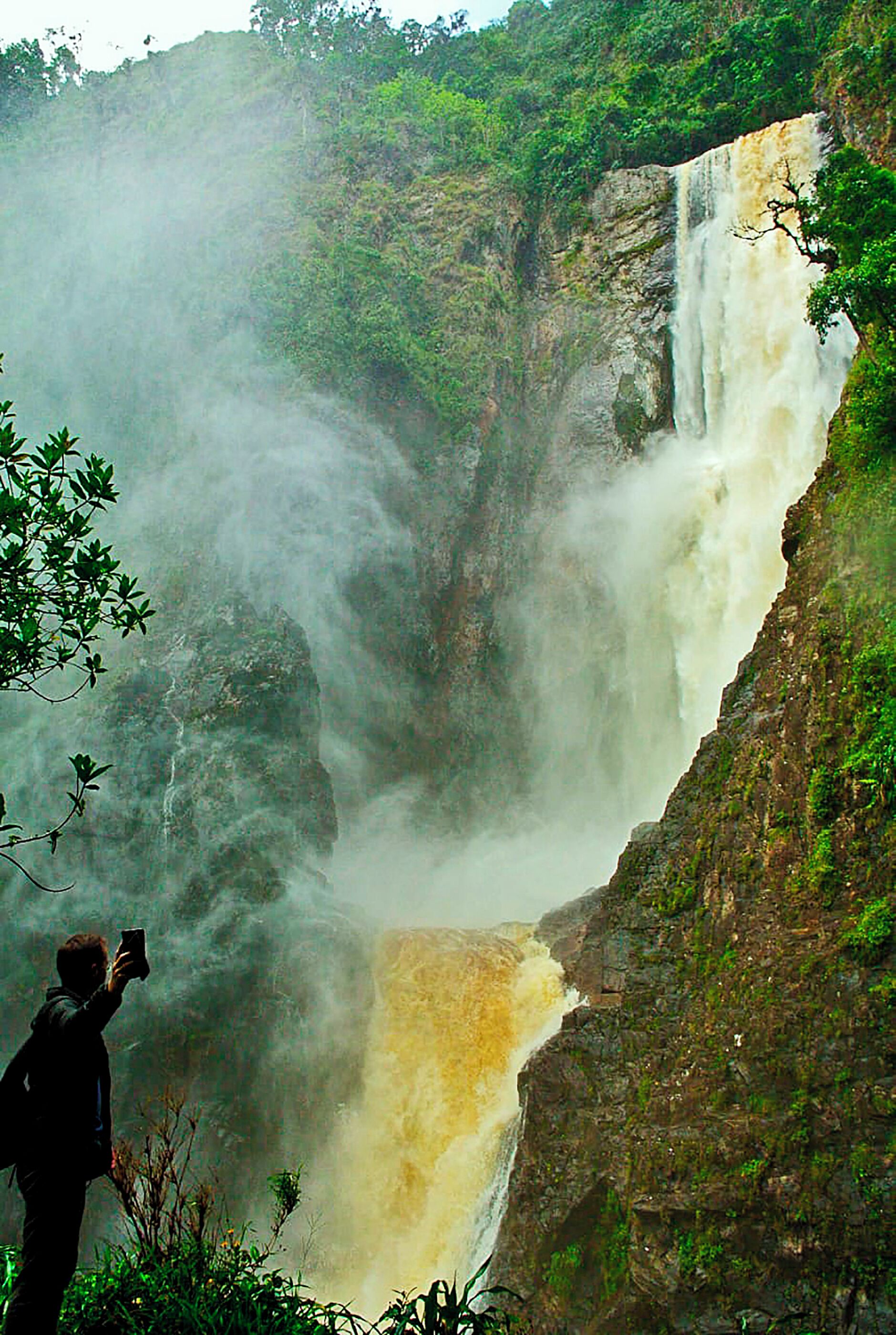 Uma cascata desce por um penhasco rochoso, rodeada por vegetação exuberante.