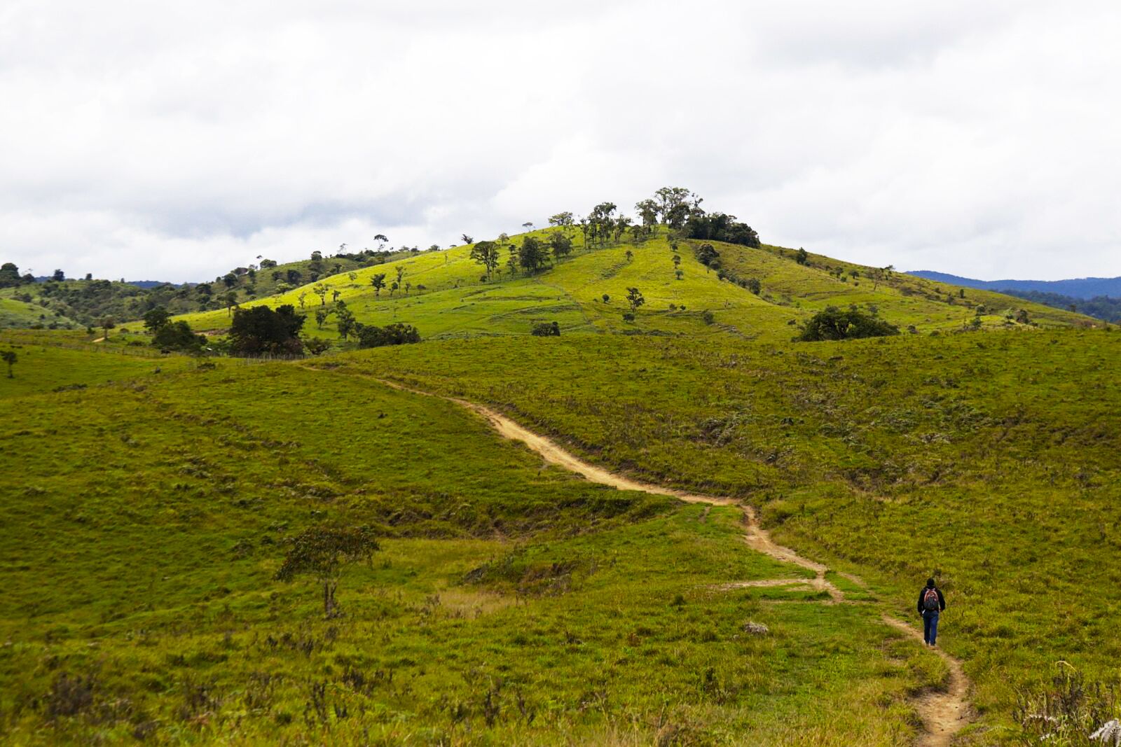 Paisaje montañoso con un sendero de tierra y una persona caminando.