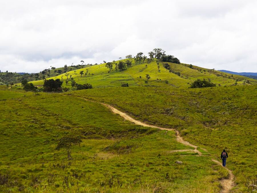 Paisaje montañoso con un sendero de tierra y una persona caminando.