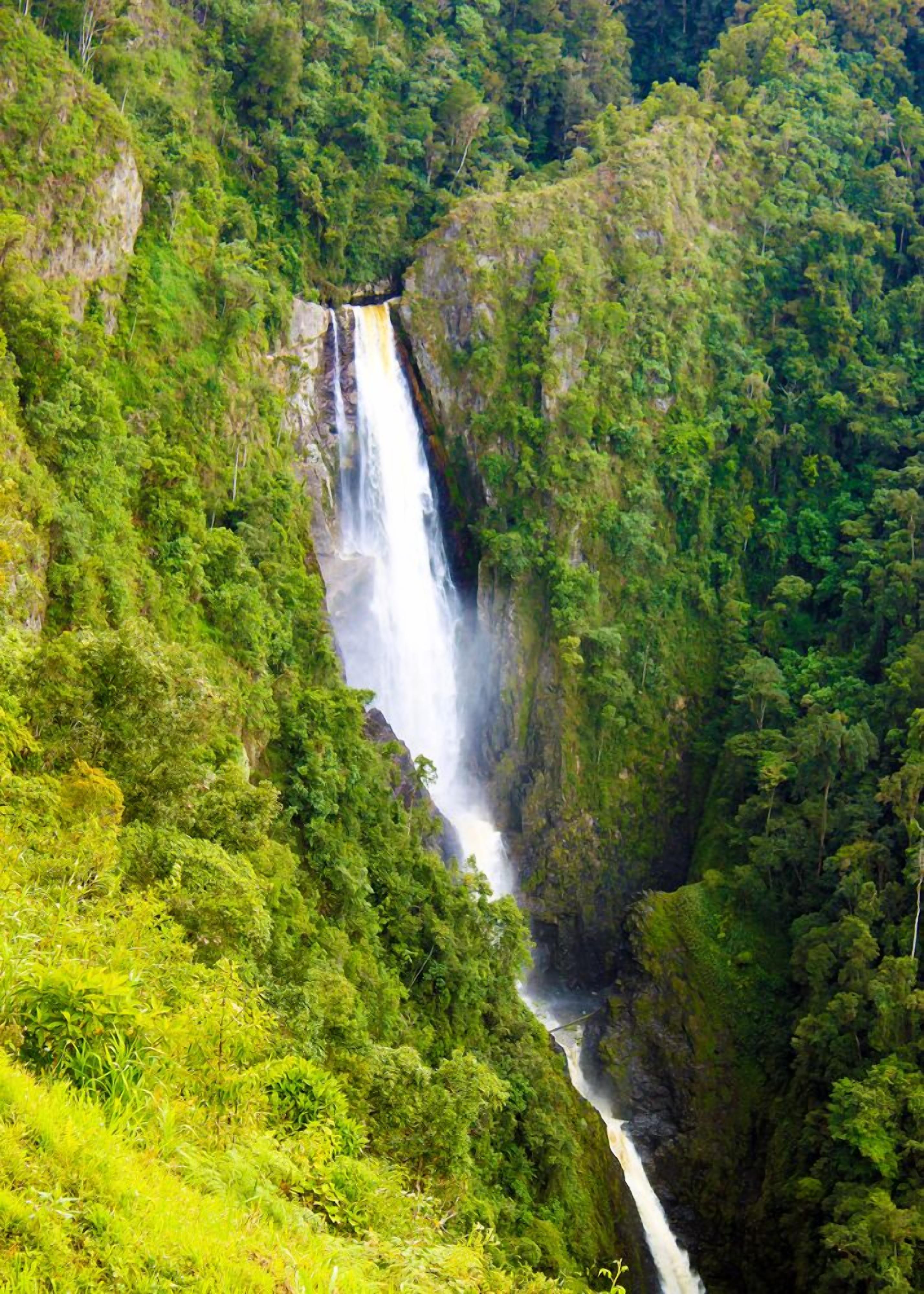 A waterfall surrounded by lush green forest.