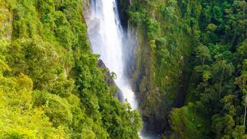 A waterfall surrounded by lush green forest.