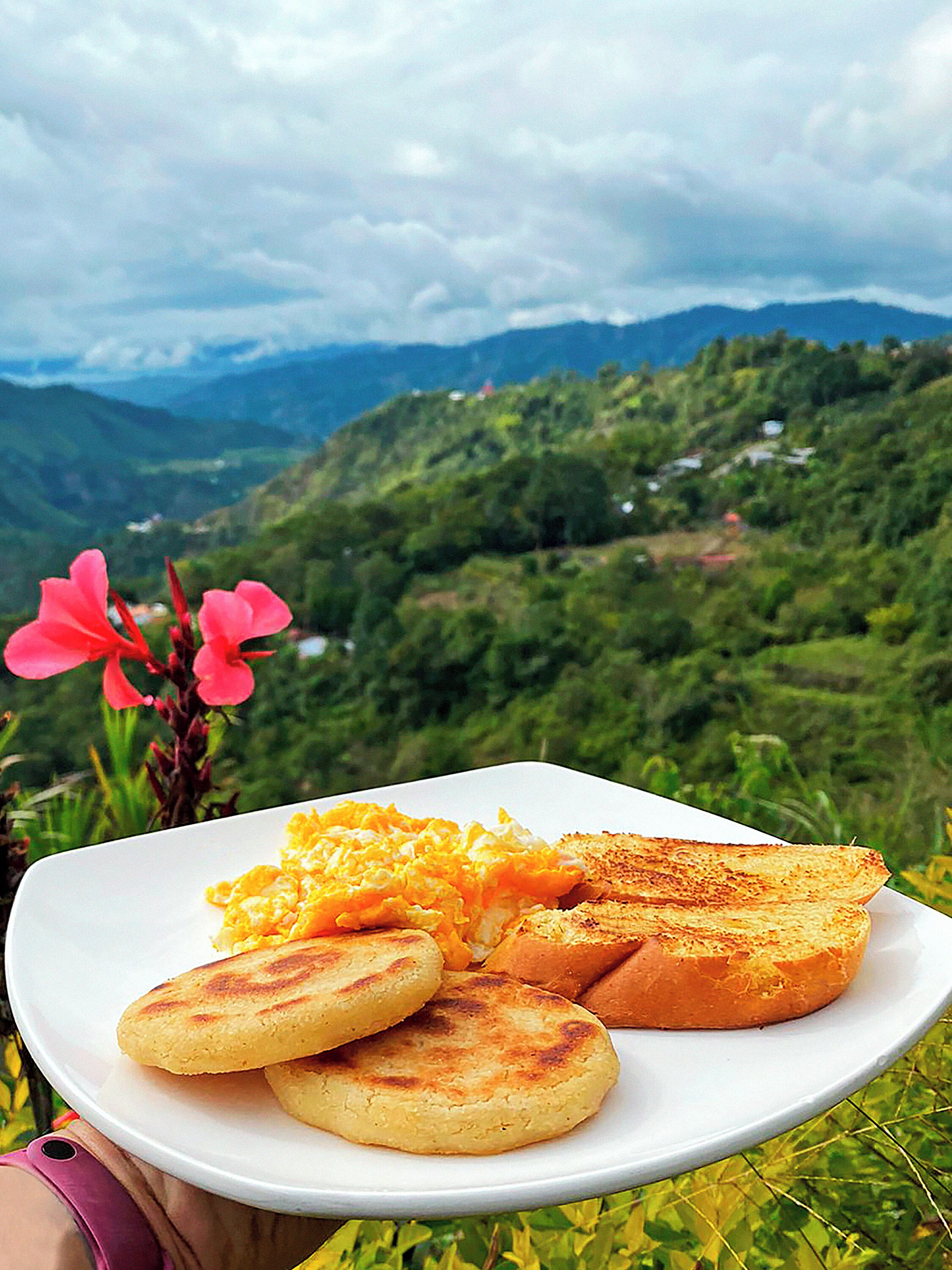 Un plato con comida y una vista panorámica de montañas.