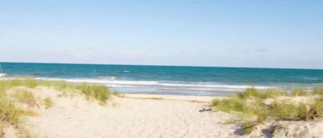 Playa