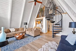 Smart TV, fireplace, books