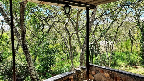 Un espace extérieur abrité, doté de murs en pierre et d’un plafond en bois, entouré d’une végétation luxuriante et d’arbres.