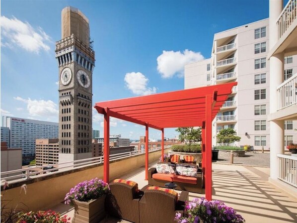 テラス / パティオ