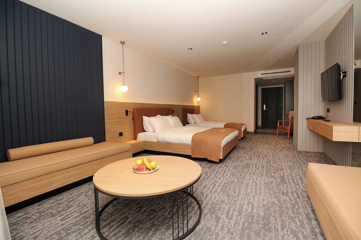 A modern hotel room with a bed, a sofa, a small table with fruit, and a TV.