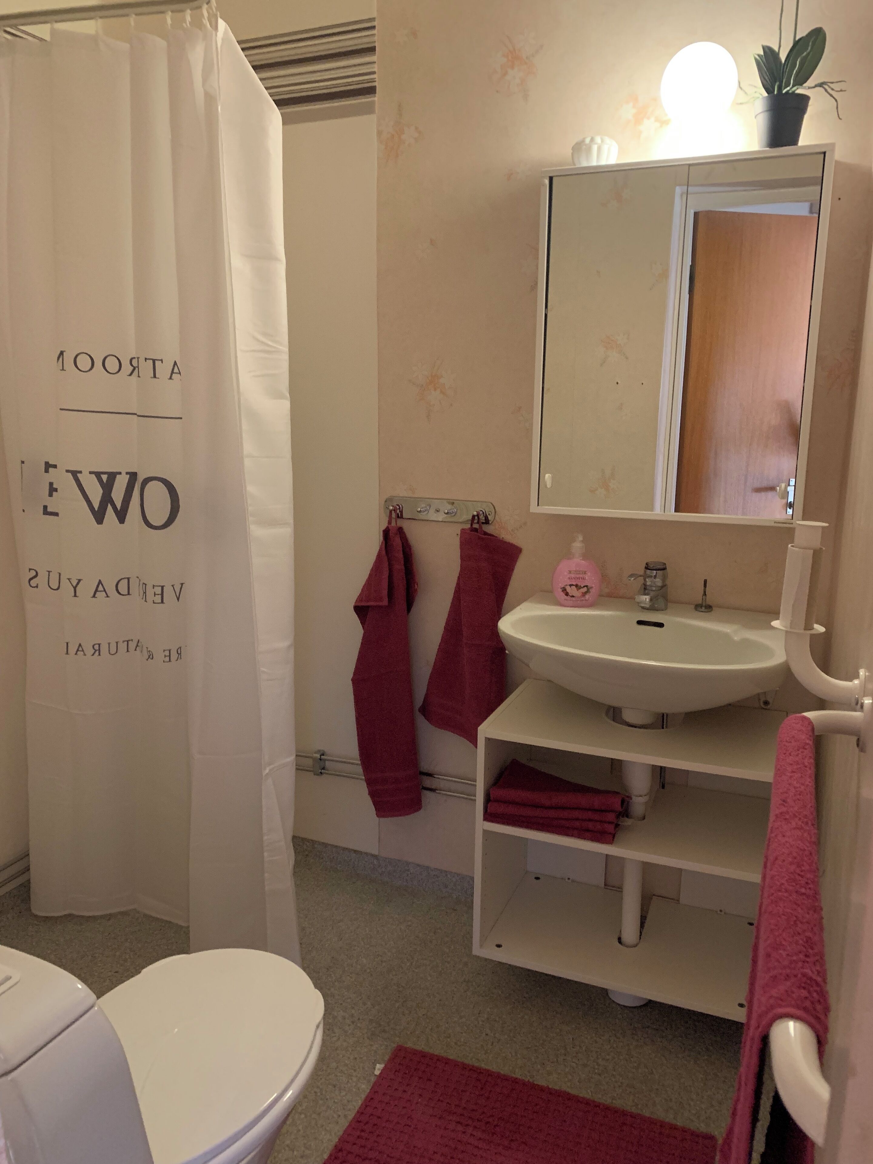Een badkamer met een wit toilet, een wastafel met een spiegel erboven en een douchegordijn met tekst.