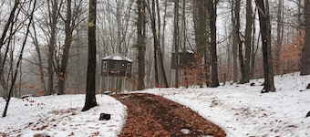 Treehouse at Wise Pines- SoBo