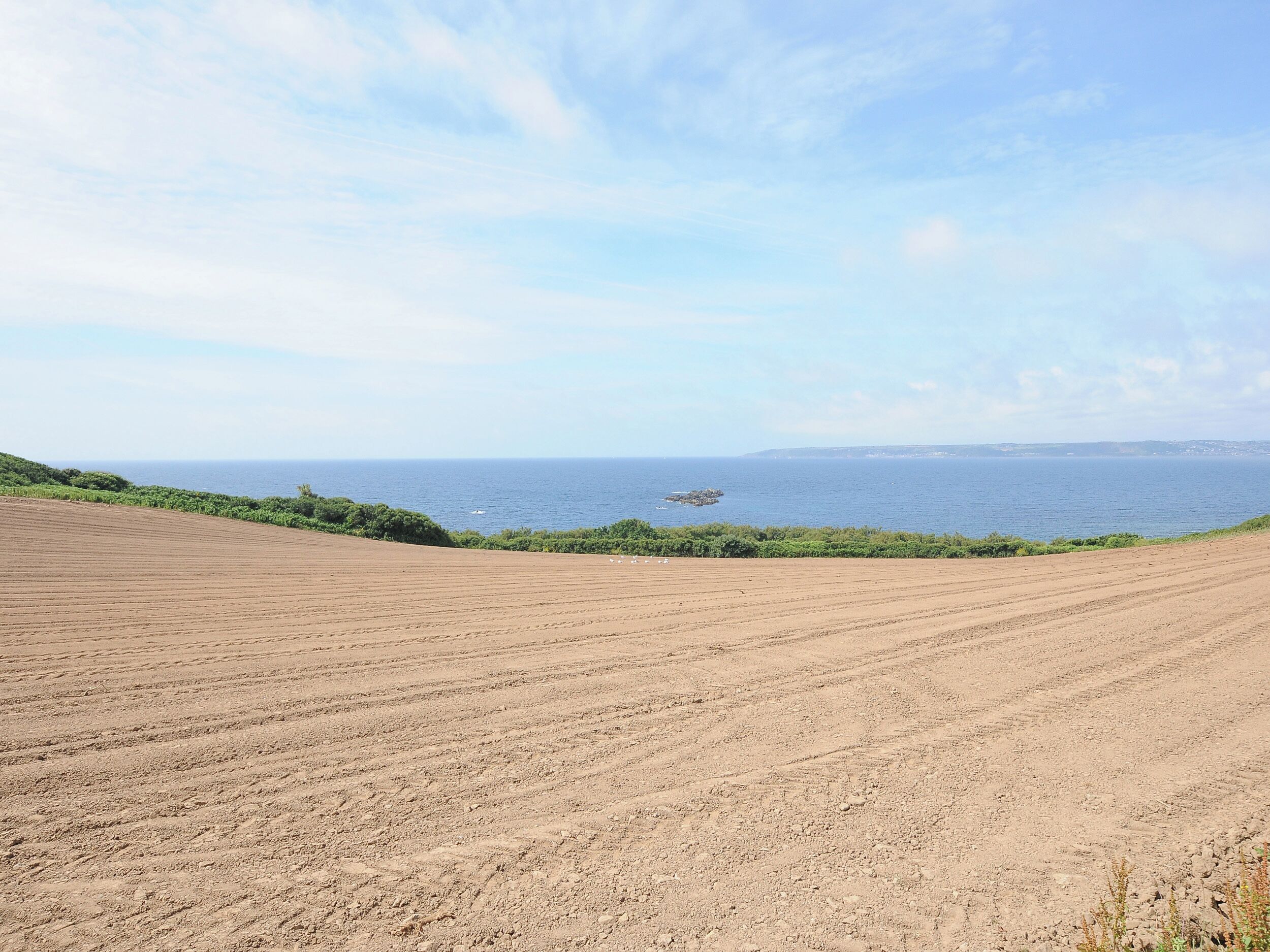 Un paisaje costero con un sendero de tierra que lleva al mar, rodeado de vegetación y un cielo despejado.