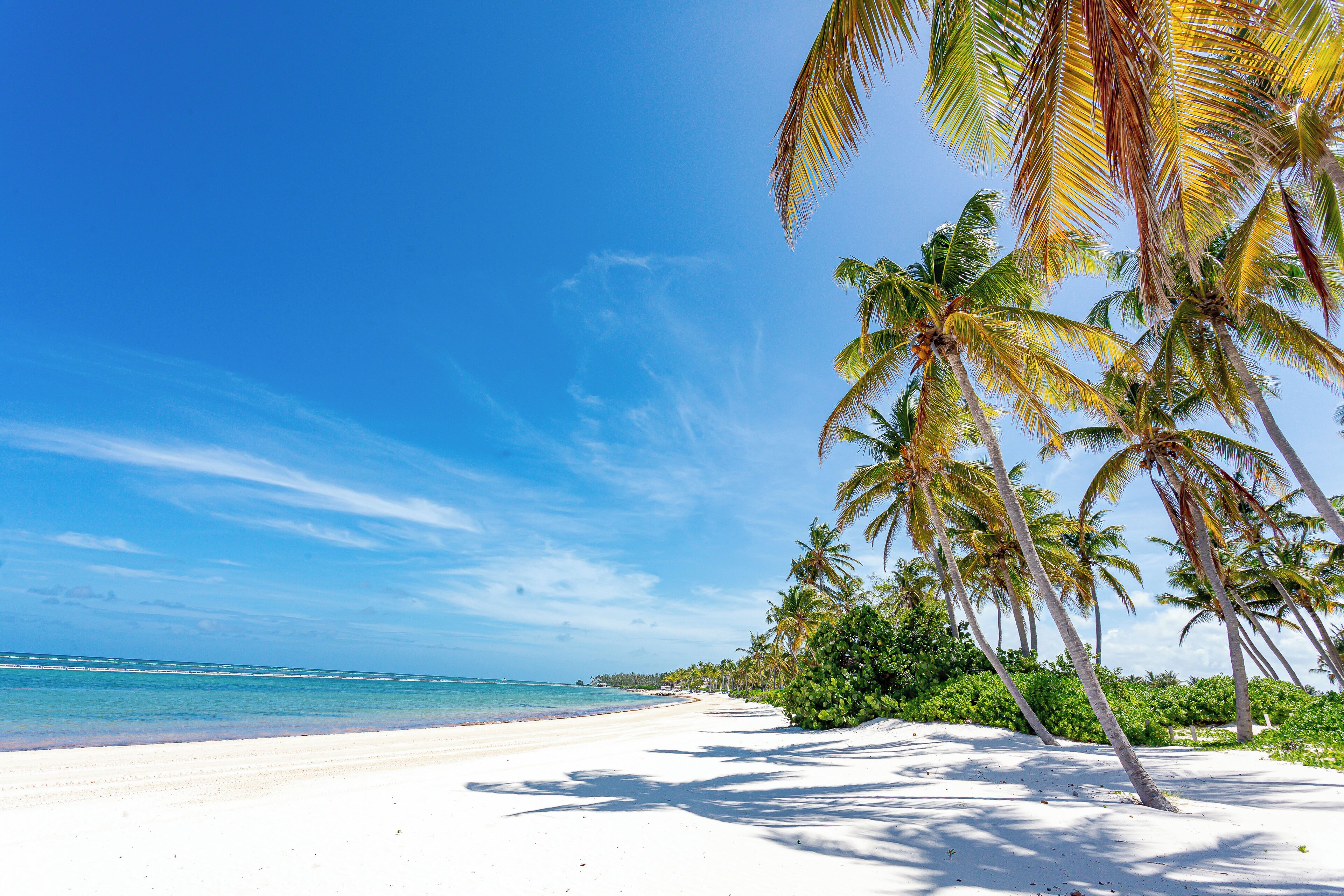 Camastros y toallas de playa 