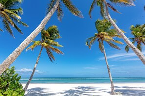 Sun-loungers, beach towels