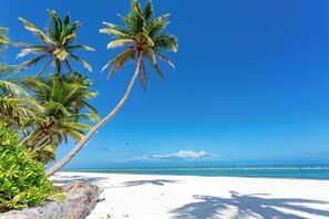 Sun-loungers, beach towels