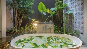 Een badkuip met waterlelies en planten in een rustgevende omgeving.