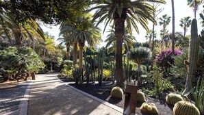 A pathway lined with various cacti and palm trees, leading through a garden with a gravel surface. - Home2Book Stylish & Bright Apt, Santa Cruz Center (Santa Cruz de Tenerife)