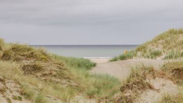 Playa en los alrededores