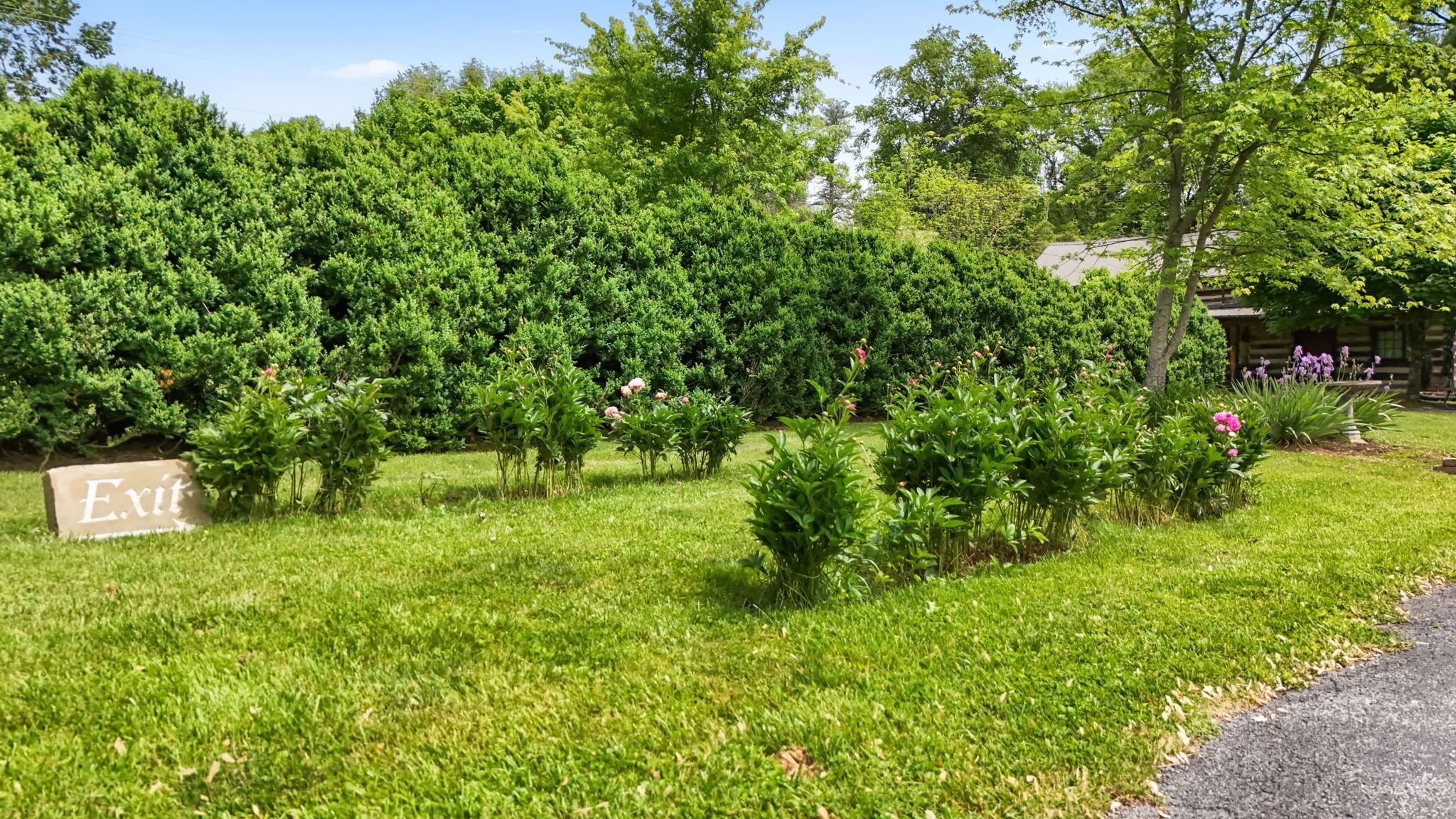 Un jardin bien entretenu, agrémenté d’un panneau indiquant « Sortie » et d’une variété de plantes à fleurs.