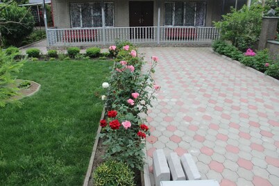 Basic Room
