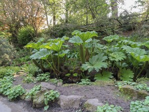 Property grounds - 3 Glendowne Terrace (Harrogate)