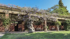 A building with a brick facade, a pergola with purple flowers, and a statue in the center. - 3 Glendowne Terrace (Harrogate)