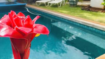 Piscina all'aperto, una piscina riscaldata