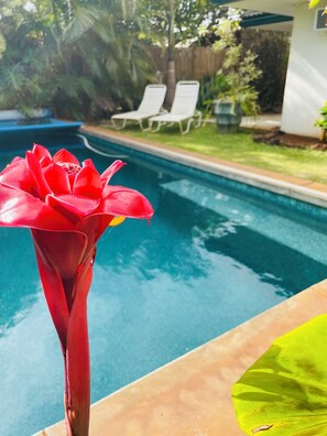 Outdoor pool, a heated pool