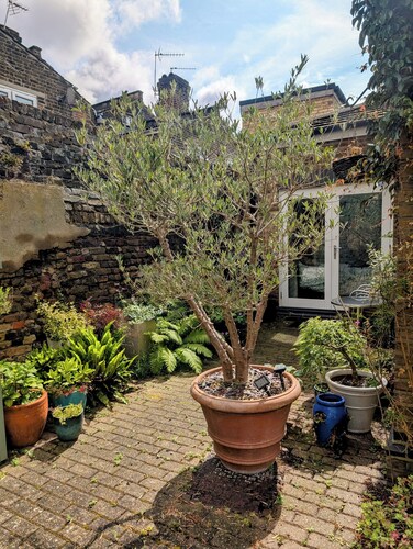 Lovely London Bridge Cottage with Free Parking