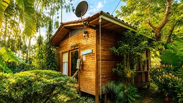 Una cabaña de madera con antena parabólica, rodeada de vegetación exuberante.
