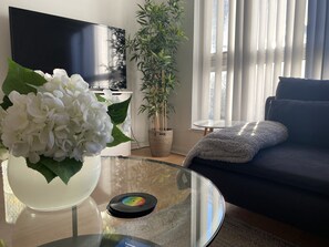 Smart TV, books