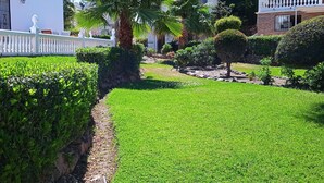 Um jardim bem cuidado, com diversas plantas e um cercado branco.