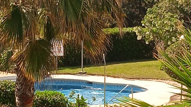 Piscina rodeada por vegetação exuberante e palmeiras.