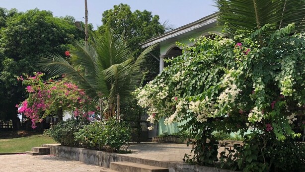 A paved walkway leading to a building with a green facade, surrounded by lush greenery and flowering plants. - Deux-Palmes-Kribi, close to the beach (200m), comfortable and family-friendly (Kribi)