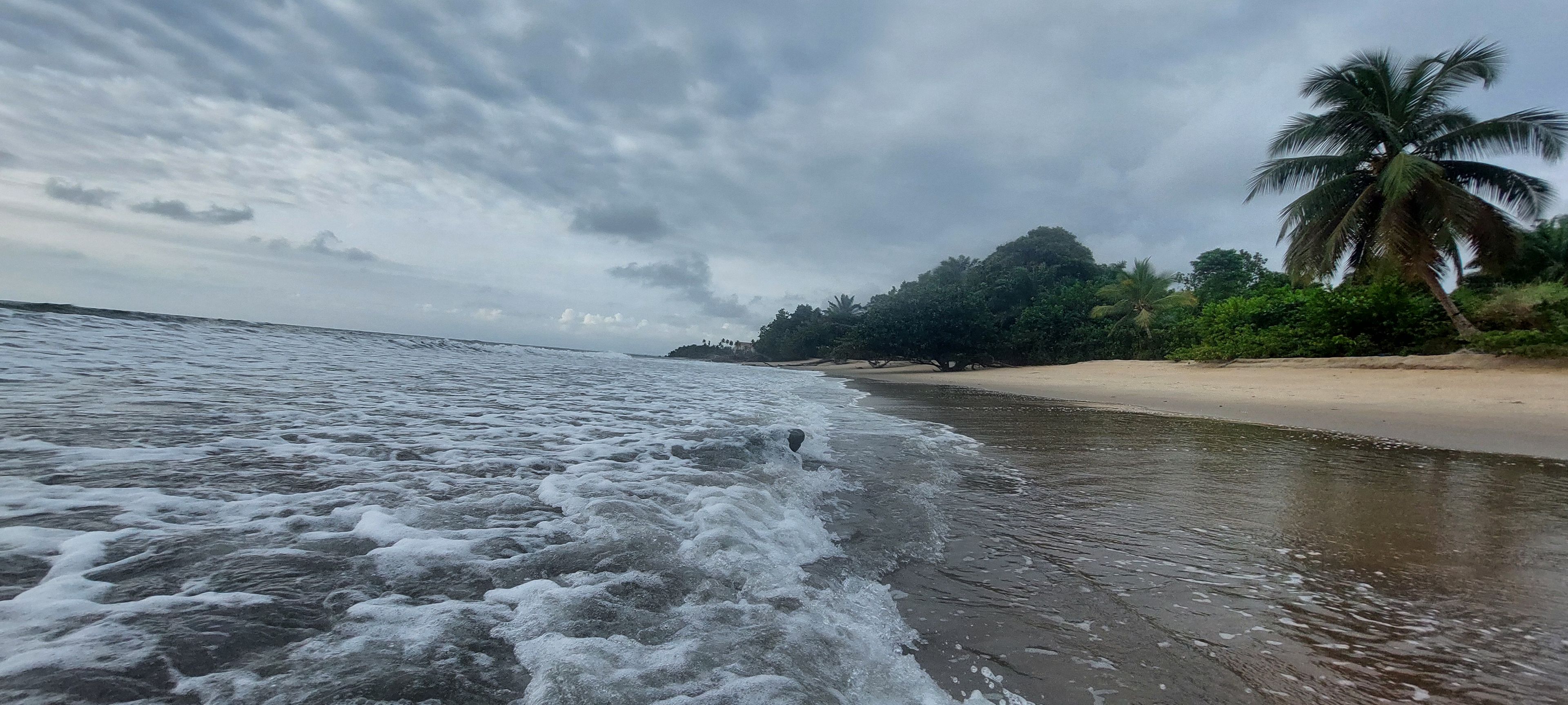 Una playa con olas, arena y palmeras.