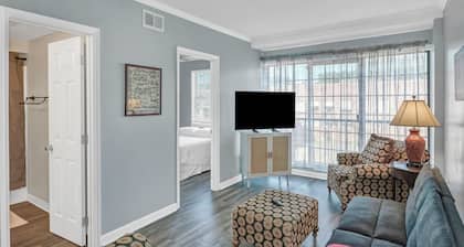 Roost on Greene! Two Bedroom Five Points Condo. Steps away from USC Campus.