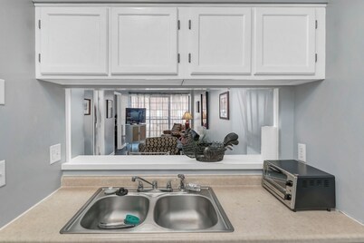 Roost on Greene! Two Bedroom Five Points Condo. Steps away from USC Campus.