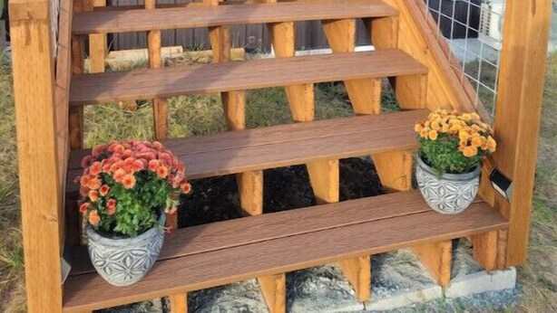 Un escalier en bois avec une rampe en métal mène à une porte. Deux plantes en pot sont placées sur les marches.