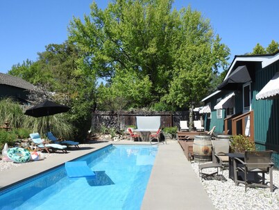 Unique Property: pool, hot tub, gardens, koi ponds, game building!