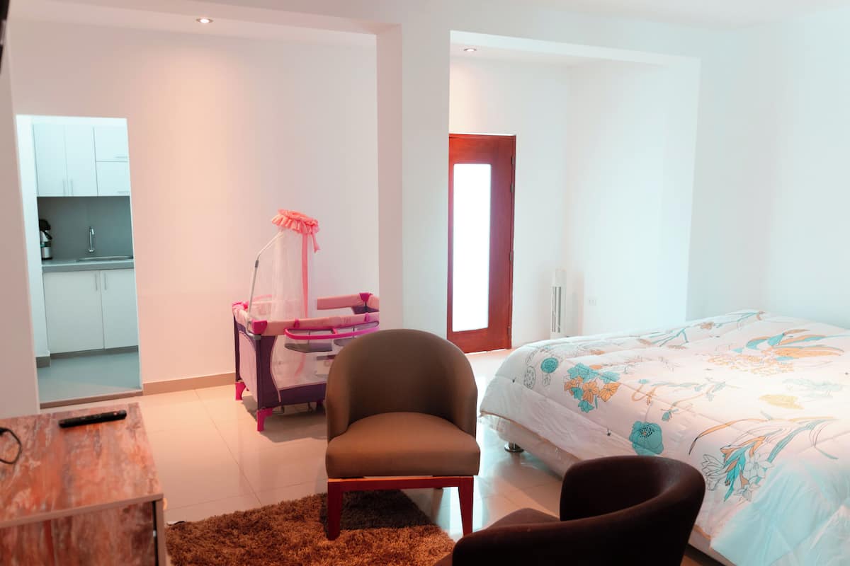 Iron/ironing board (on request), free WiFi, bed sheets