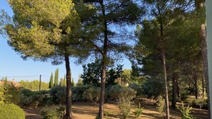 A natural outdoor area with trees and shrubs, a dirt path, and a building in the background. - La Rouvraie - FLAYOSC (FLAYOSC)